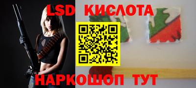 прущие грибы Ставрополь